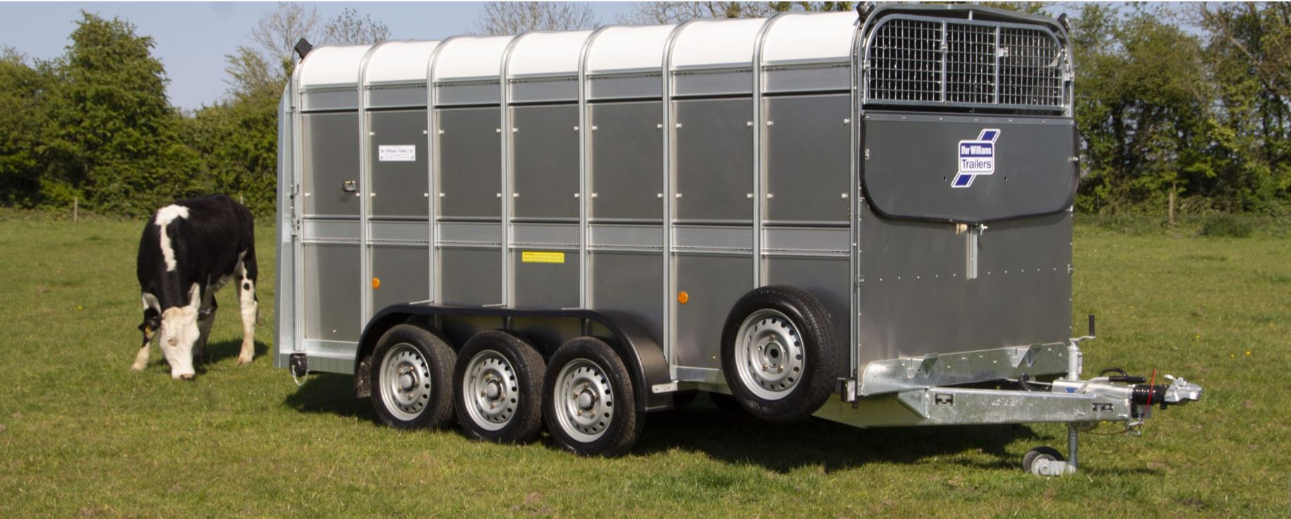 Ifor Williams livestock trailer in a field
